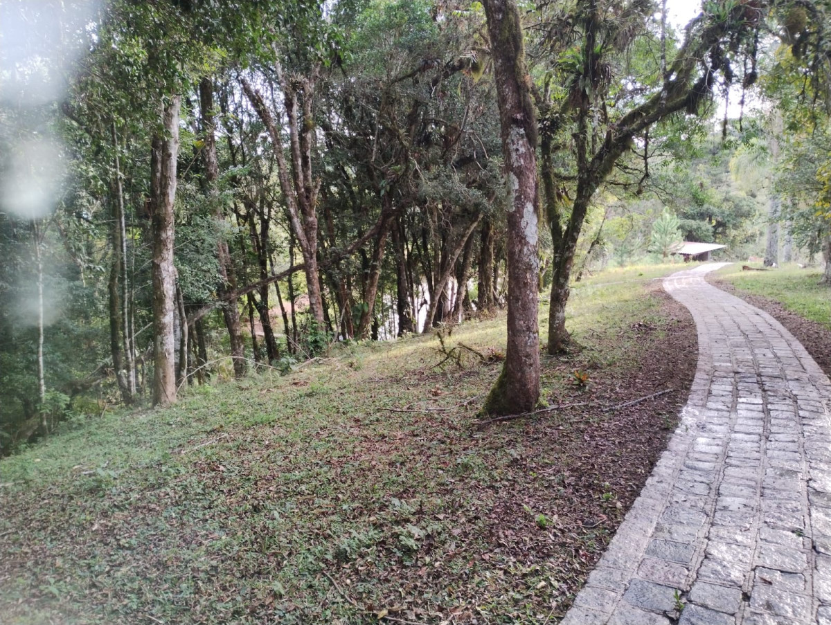 Gleba (foto 9 de 16)