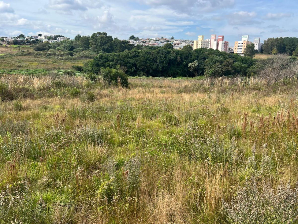 Imagem do imóvel Terreno Urbano - Rua Amantino Antunes de Souza - Jardim Bela Vista - Campos Novos/SC