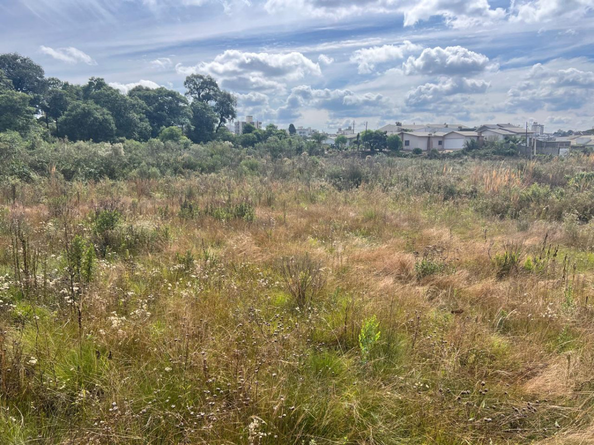 Terreno no Jardim Bela Vista (foto 2 de 4)