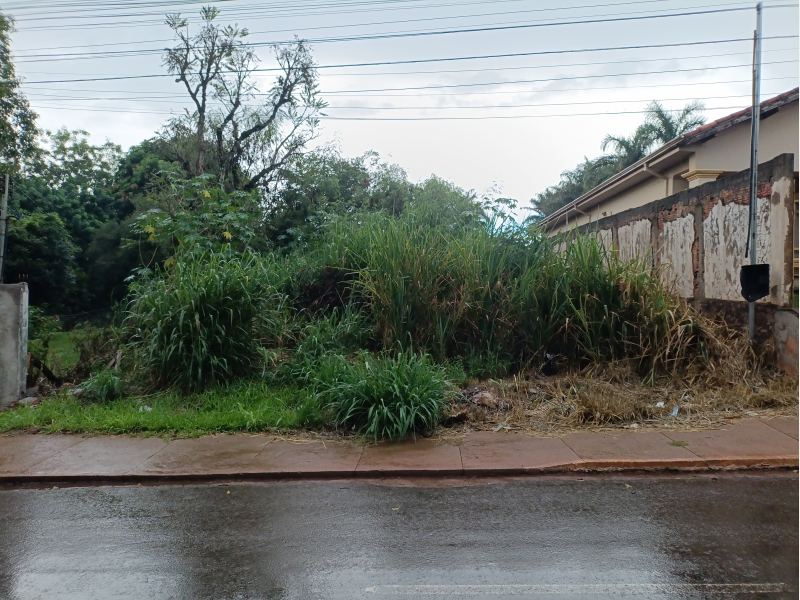 Lote 3 - TERRENO EM PONTA PORÃ -  MATRICULA 858 - Ativo 58828