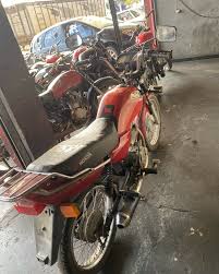 Enéas Carrilho de Vasconcelos Neto