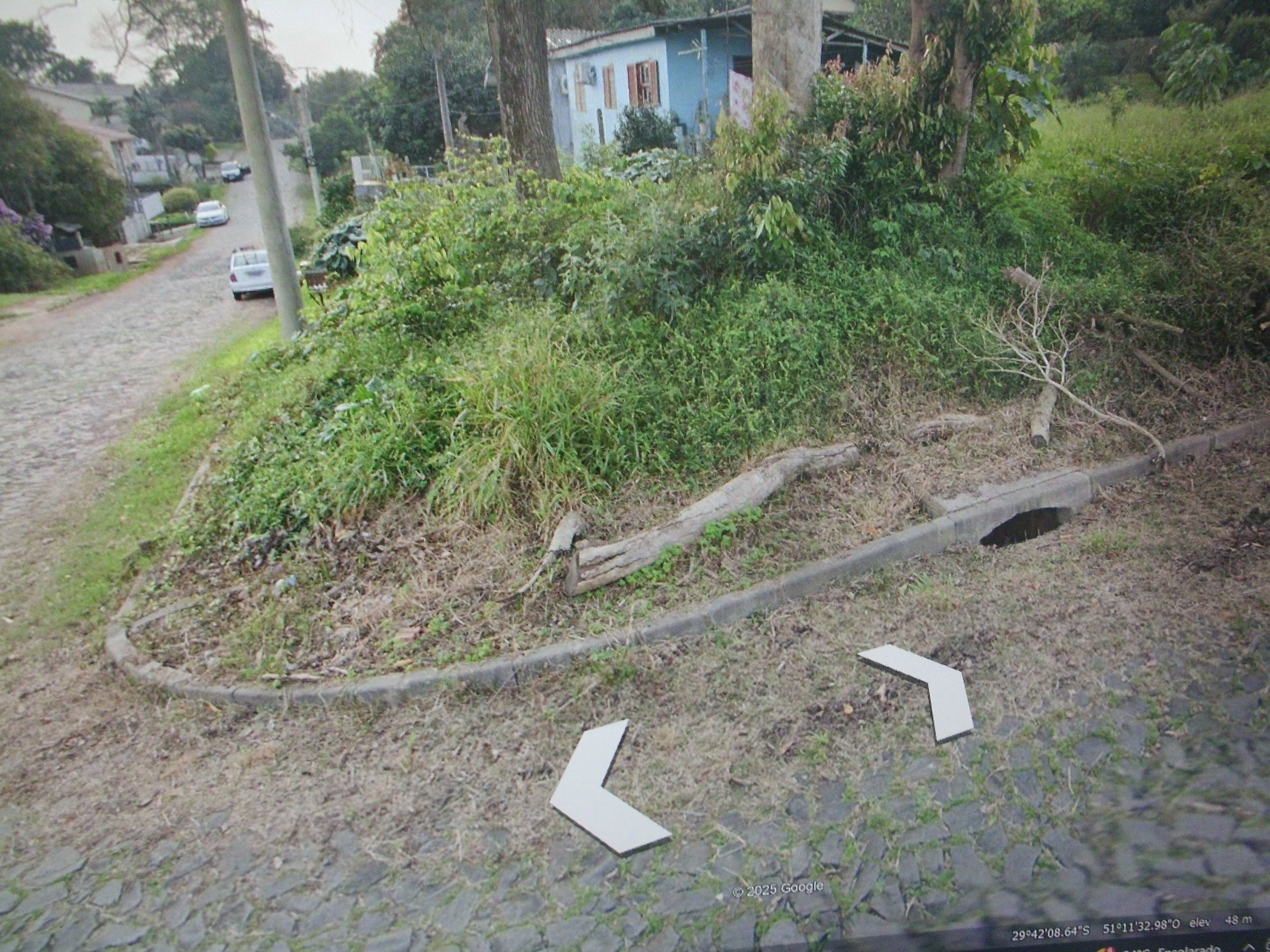 Enéas Carrilho de Vasconcelos Neto