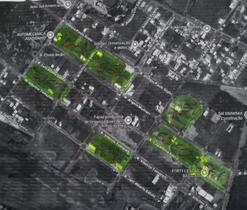 Vicente Martins Leilões