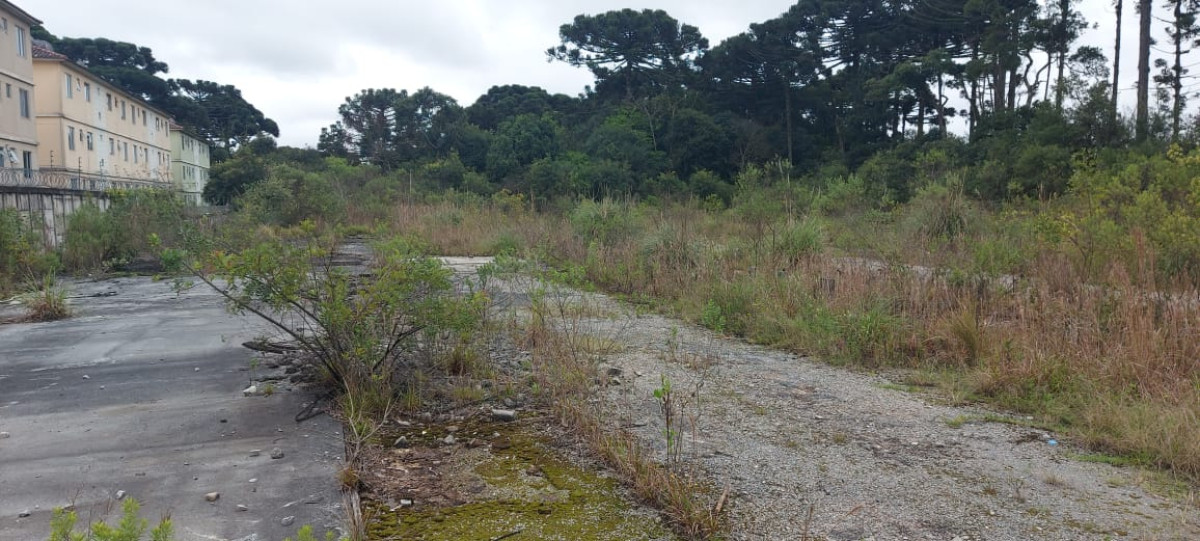 Terreno (foto 6 de 14)