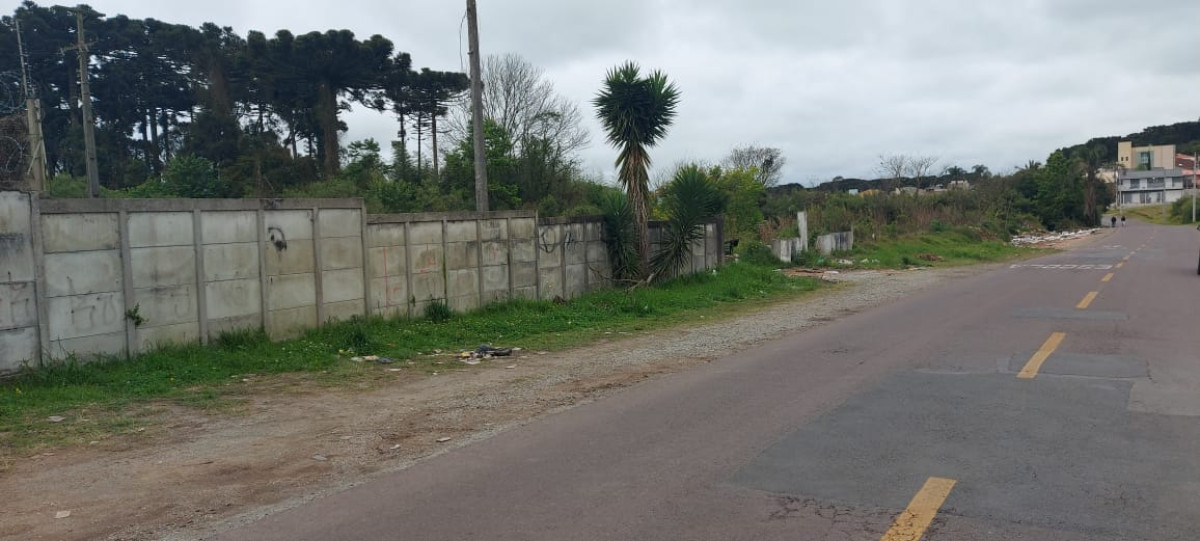 Terreno (foto 5 de 14)
