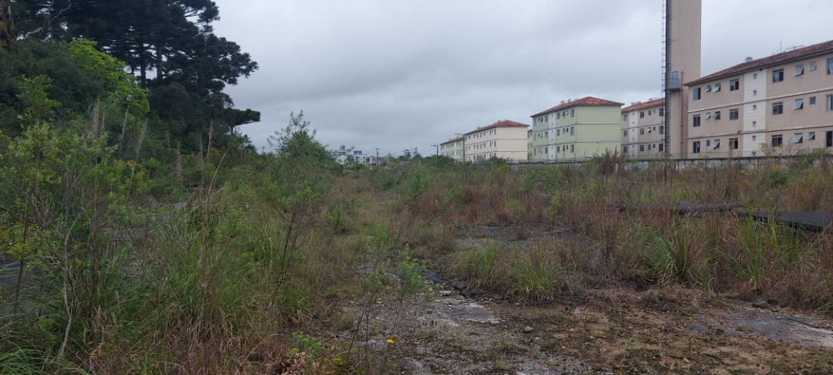 Terreno (foto 12 de 14)