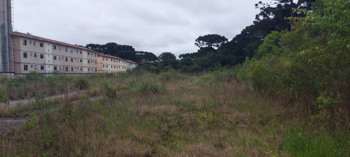 Terreno (foto 11 de 14)
