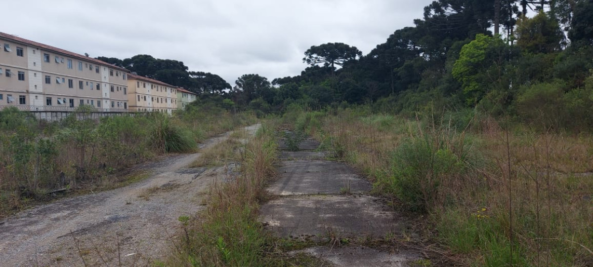 Terreno (foto 8 de 14)