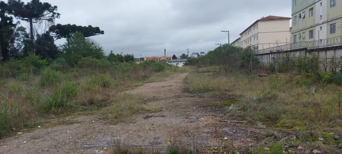Terreno (foto 7 de 14)