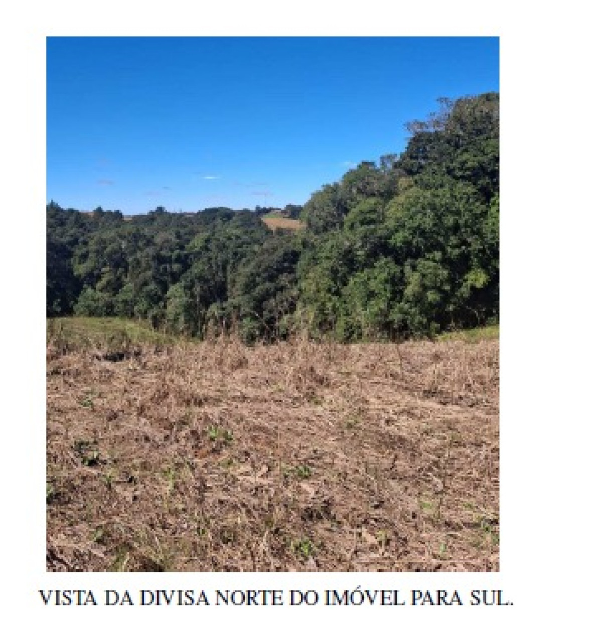 Gleba (foto 2 de 4)