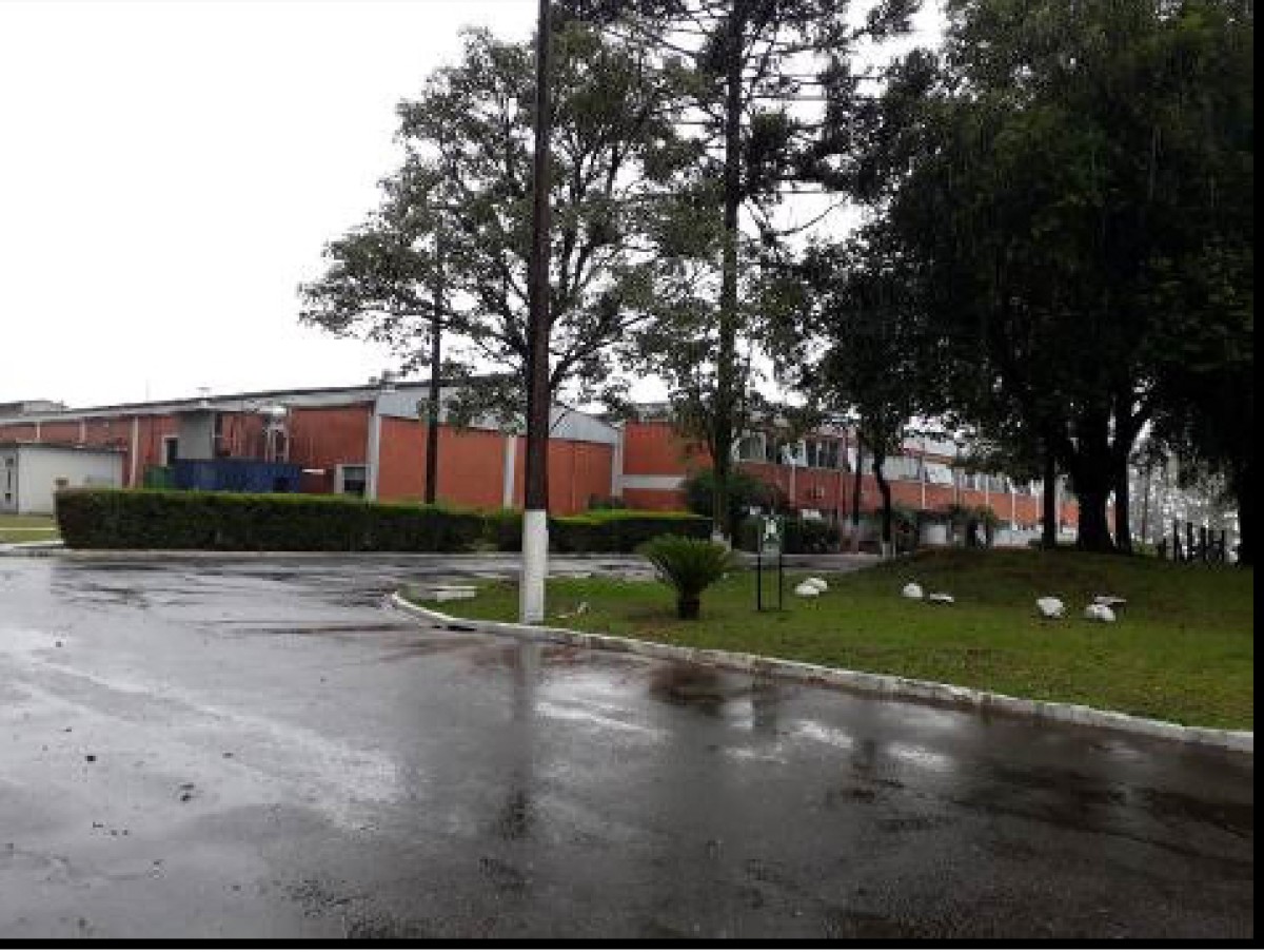 Imagem