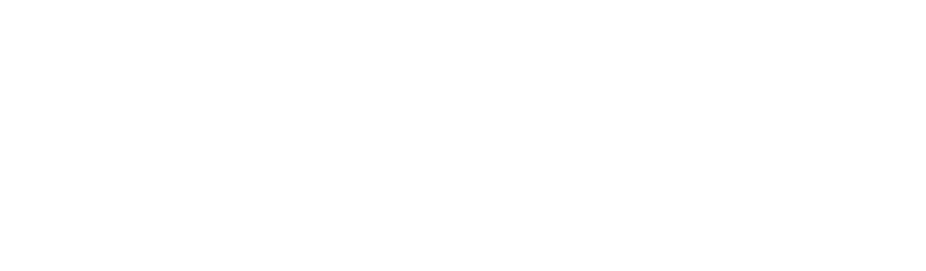 Tulio Leilões