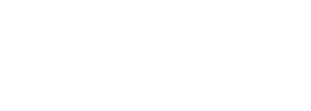 DS Leilões