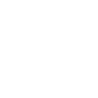 Topo Leilões